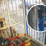 “Eran dos hombres y una mujer”: atentado en el barrio Hipódromo desde un motocarro