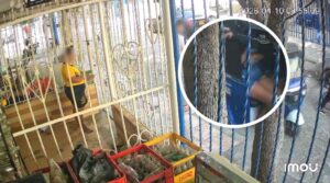 “Eran dos hombres y una mujer”: atentado en el barrio Hipódromo desde un motocarro