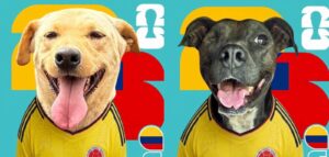 ¡Los jugadores más tiernos!: fundación lanza láminas mundialistas de perritos que buscan hogar