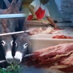 Elevados precios de la carne vacuna tendría a muchos argentinos “comiendo la de burro”: ¡Gobierno se defiende!