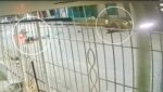 Choque de motos dejó dos muertos y una mujer herida en el barrio Carrizal de Barranquilla