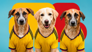 “Ellos también merecen una familia”: Barranquilla impulsa la adopción de perros adultos