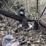 Contundente operación militar contra el Clan del Golfo en Chocó: dos abatidos y cinco capturados
