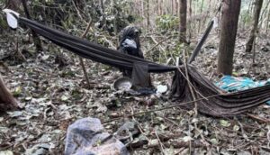 Contundente operación militar contra el Clan del Golfo en Chocó: dos abatidos y cinco capturados