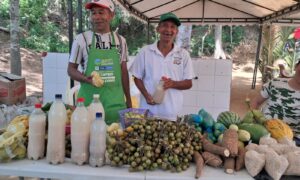 Entre sancochos, cosechas y tradición, Guaimaral abre sus puertas al festival que busca rescatar el alma campesina