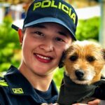 Kira, la perrita criolla que se convirtió en embajadora de la convivencia en Cartagena