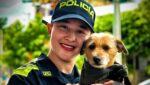 Kira, la perrita criolla que se convirtió en embajadora de la convivencia en Cartagena