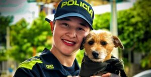 Kira, la perrita criolla que se convirtió en embajadora de la convivencia en Cartagena