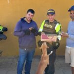 La historia de Rebeca suma un final feliz para dos de sus cachorros