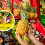 Las frutas del Caribe serán las protagonistas de Sabor Barranquilla 2026