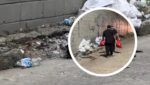 “Pasó a plena luz del día”: cruel muerte de perritos en el barrio El Silencio, en Barranquilla