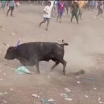 Hombre murió tras ser corneado por un toro en corralejas del corregimiento de Puerto Giraldo, en Ponedera