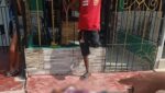 En medio de una riña asesinaron a alias Ñao en el barrio Mesolandia de Malambo