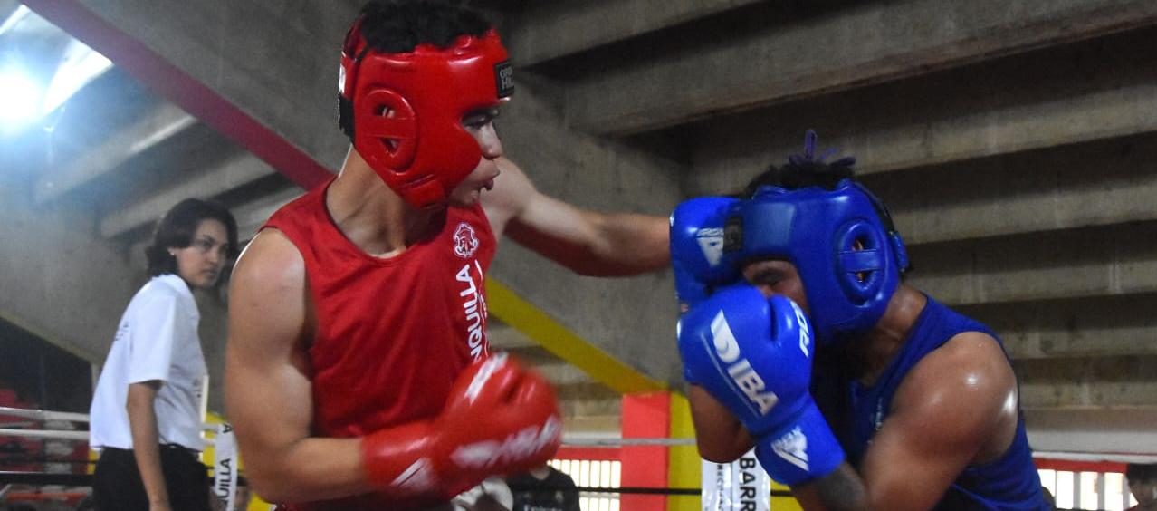 ¡Gran noticia para los amantes del box! Inició la inscripción de pugilistas para la segunda Copa Talento Barranquilla 2026