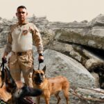 Tamy, Rojo, Candy y Dastan: héroes de cuatro patas que viajaron a Venezuela para ayudar a salvar vidas