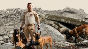 Tamy, Rojo, Candy y Dastan: héroes de cuatro patas que viajaron a Venezuela para ayudar a salvar vidas
