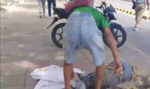 “Se trataba de un animal”: cadáver hallado cerca del Centro Cívico de Barranquilla sería de un perro