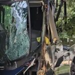 Accidente de bus de Transmetro en la calle 77 con vía 40: “Terminó chocando contra un árbol”