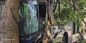 Accidente de bus de Transmetro en la calle 77 con vía 40: “Terminó chocando contra un árbol”