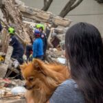 Asocapitales reporta más de 211.000 personas damnificadas y 45.100 familias afectadas a causa del terremoto en Colombia