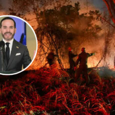 Gobierno advierte que incendios forestales en Tolima podrían ser intencionales: De la Espriella ordena investigar y judicializar