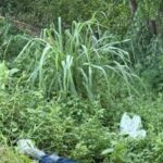 Macabro hallazgo en la vía Cartagena-Turbaco: dos hombres aparecen maniatados y asesinados