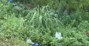 Macabro hallazgo en la vía Cartagena-Turbaco: dos hombres aparecen maniatados y asesinados