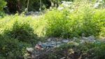 Perro llegó con un hueso en la boca y destapó macabro hallazgo en Me Quejo, Barranquilla