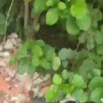 Encuentran sin vida a un hombre en Puerto Colombia: “Registraba signos de violencia”