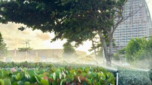 Alcaldía de Barranquilla fortalece el cuidado del agua mientras mantiene sus zonas verdes con riegos estratégicos