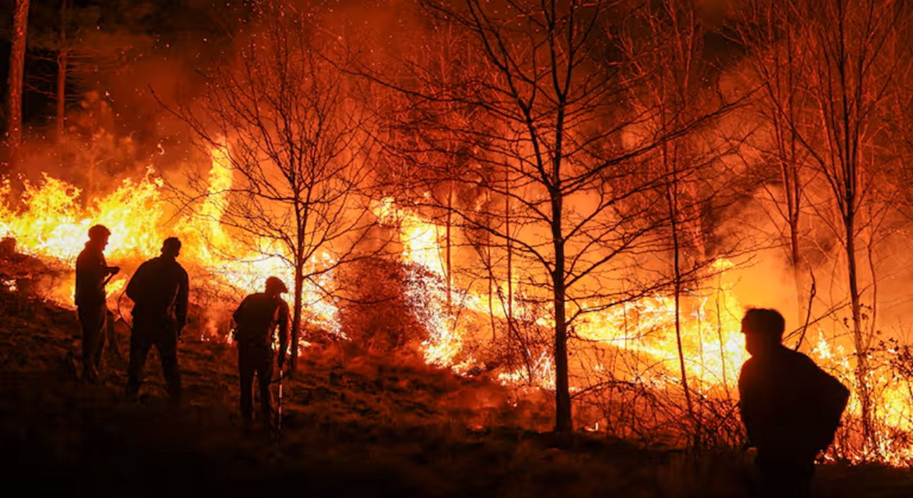 Estados Unidos anuncia el envío de 48.000 dólares en ayudas para atender incendios forestales en Colombia