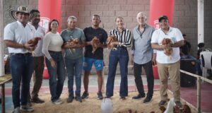 ¡Patios que dan de comer y ganancia! 5.940 gallinas ponedoras transforman la economía campesina en el Atlántico