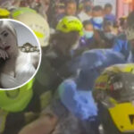 Otra víctima del terremoto: falleció Daniela Largo cuatro días después de ser rescatada de edificio colapsado en Pereira