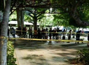 Dos capturados y un menor aprehendido por la Policía por masacre en un parque de Las Nieves