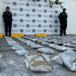 Incautan 241 kilos de marihuana en Barranquilla: Policía señala que pertenecerían a los Costeños
