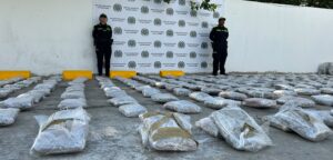 Incautan 241 kilos de marihuana en Barranquilla: Policía señala que pertenecerían a los Costeños