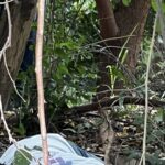 Hombre fue hallado sin vida y con signos de violencia en una trocha del barrio El Concord, Malambo