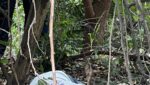 Hombre fue hallado sin vida y con signos de violencia en una trocha del barrio El Concord, Malambo
