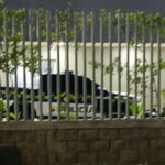 Ataque a bala en plena avenida Murillo dejó dos hombres heridos y un menor aprehendido