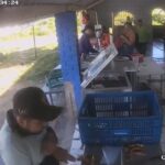 En video quedó registrado el momento justo en el que sicario asesinó a ‘Jhon Calzones’, exalcalde de Yopal