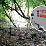 Poda de árbol se tornó en escena de terror para jardineros tras hallar huesos humanos en Villa Carolina, Barranquilla
