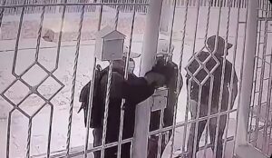 Cámara de una casa captó en acción a los Buitres, que vienen haciendo de las suyas en Soledad