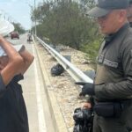 Rescatan a felina víctima de presunto maltrato en Soledad: quedó bajo cuidado especializado