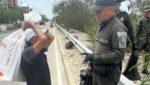 Rescatan a felina víctima de presunto maltrato en Soledad: quedó bajo cuidado especializado