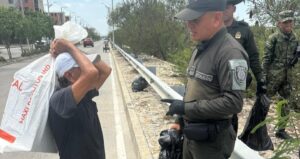 Rescatan a felina víctima de presunto maltrato en Soledad: quedó bajo cuidado especializado