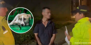 ¡Histórico! Por primera vez, judicializan a hombre por acceso carnal contra un animal en Colombia