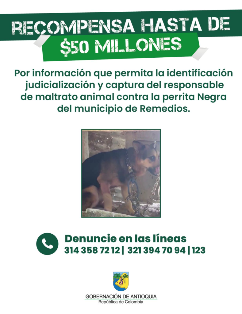 Agresión a machete contra una canina genera indignación en Antioquia: Gobernación ofrece recompensa por el atacante