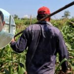 “¿Y si acercamos el campo a las ciudades?”: abogado Alberto Peña