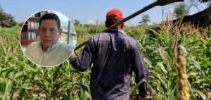 “¿Y si acercamos el campo a las ciudades?”: abogado Alberto Peña