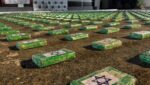 Autoridades incautaron más de una tonelada de cocaína en Santa Marta, que se presume pertenecía a las ACSN
